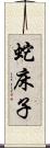 蛇床子 Scroll
