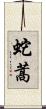 蛇蒿 Scroll