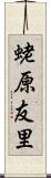 蛯原友里 Scroll