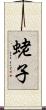蛯子 Scroll