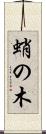 蛸の木 Scroll