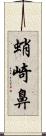 蛸崎鼻 Scroll