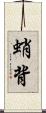 蛸背 Scroll