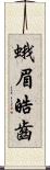 蛾眉皓齒 Scroll