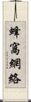蜂窩網絡 Scroll