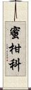 蜜柑科 Scroll