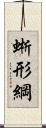 蜥形綱 Scroll