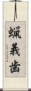 蝋義歯 Scroll