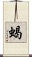 蝎 Scroll