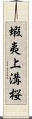 蝦夷上溝桜 Scroll