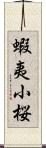 蝦夷小桜 Scroll