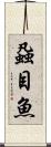 蝨目魚 Scroll