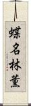 蝶名林薫 Scroll