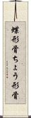 蝶形骨 Scroll