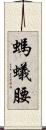 螞蟻腰 Scroll