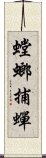 螳螂捕蟬 Scroll