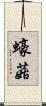 蠔菇 Scroll