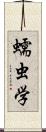 蠕虫学 Scroll