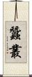 蠶叢 Scroll