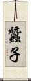 蠶子 Scroll