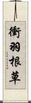 衝羽根草 Scroll