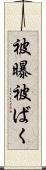 被曝 Scroll