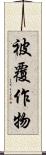 被覆作物 Scroll