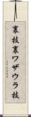 裏技 Scroll
