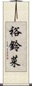 裕鈴菜 Scroll