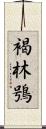 褐林鴞 Scroll