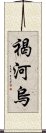 褐河烏 Scroll