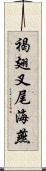 褐翅叉尾海燕 Scroll
