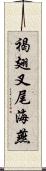 褐翅叉尾海燕 Scroll