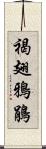 褐翅鴉鵑 Scroll