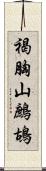 褐胸山鷓鴣 Scroll