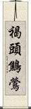 褐頭鷦鶯 Scroll