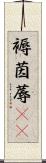褥 Scroll