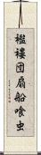 襤褸団扇船喰虫 Scroll