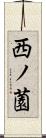 西ノ薗 Scroll