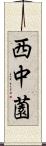 西中薗 Scroll