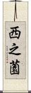 西之薗 Scroll