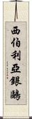 西伯利亞銀鷗 Scroll