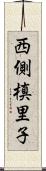 西側槙里子 Scroll