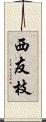 西友枝 Scroll