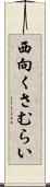 西向くさむらい Scroll
