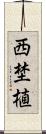 西埜植 Scroll