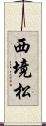 西境松 Scroll