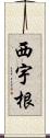 西宇根 Scroll