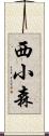 西小森 Scroll