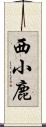 西小鹿 Scroll